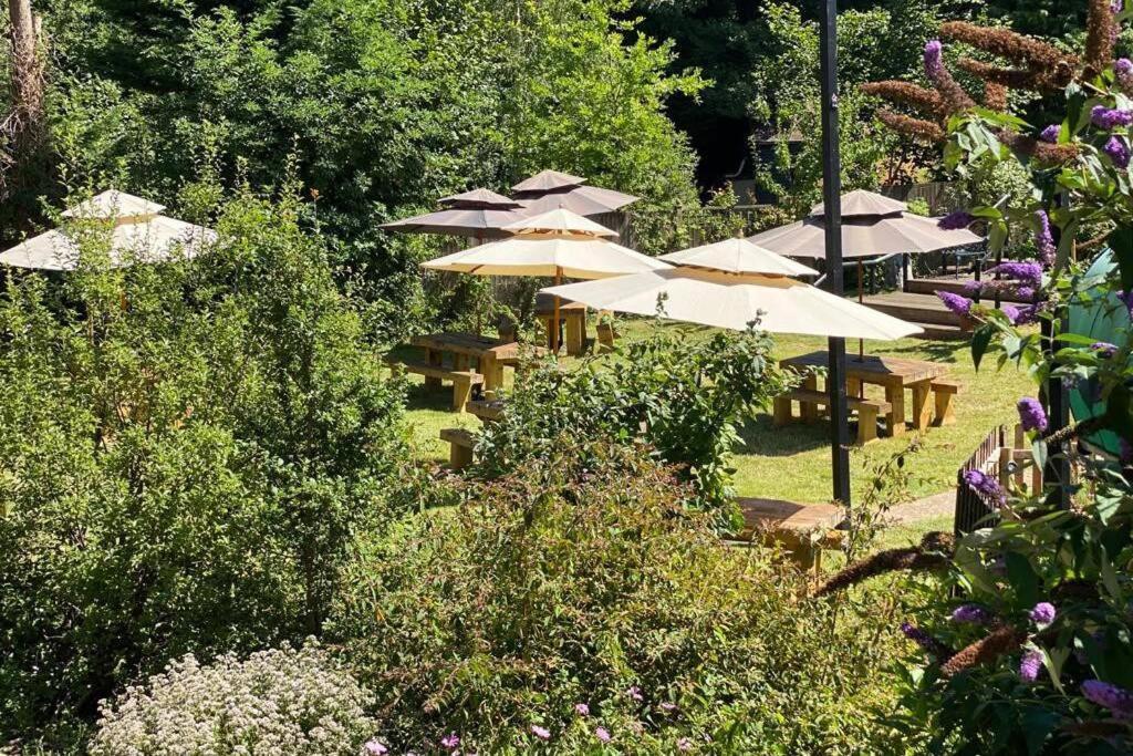 17Th Century Boutique Getaway In The Countryside Apartment Martin Mill ภายนอก รูปภาพ